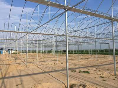 打造現代農業新標桿 奧農苑溫室專業解析薄膜連棟溫室大棚